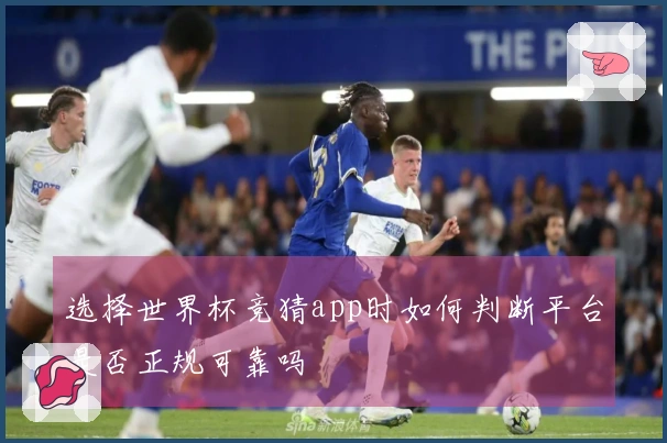 选择世界杯竞猜app时如何判断平台是否正规可靠吗