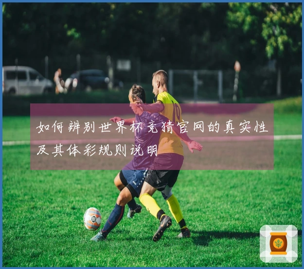 如何辨别世界杯竞猜官网的真实性及其体彩规则说明