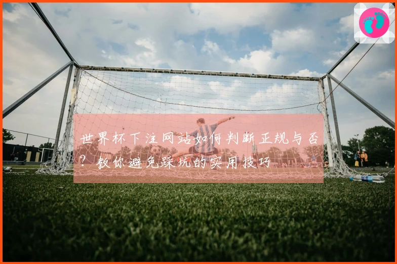 世界杯下注网站如何判断正规与否？教你避免踩坑的实用技巧